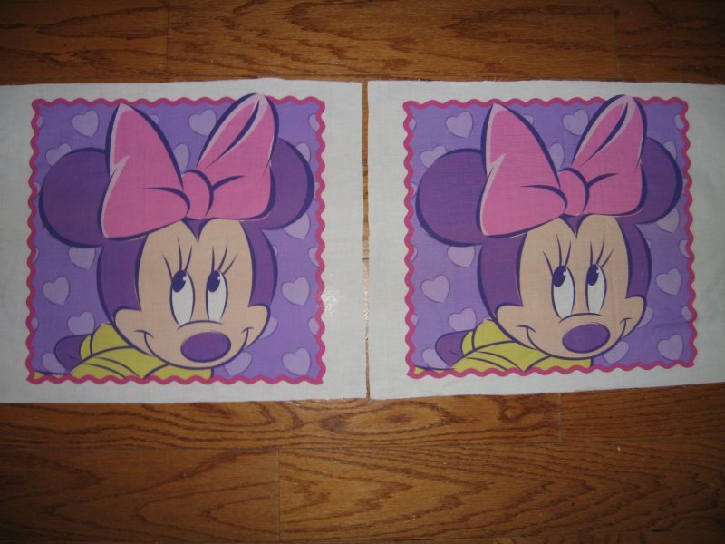 Minnie Mouse Pillow Panel