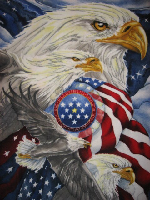 Eagles and American Flag Anti pill Fleece blanket