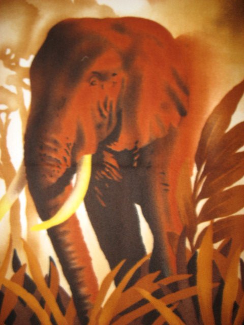 Elephant African jungle Anti-pill fleece blanket 