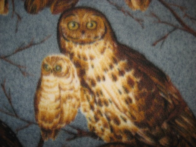 Image 1 of Owls on rare gray Fleece Blanket 45