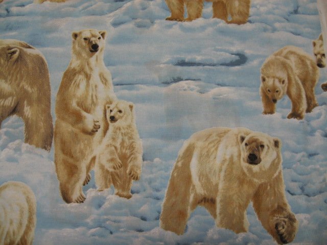 Image 0 of Polar bears Arctic snow ice quality quilt cotton sewing Fabric by the yard rare