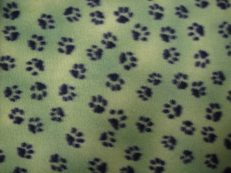 Image 0 of Puppy Dog Paw Prints dog on  green Fleece blanket 34