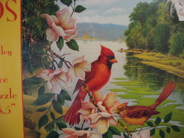 Image 1 of Cardinal Red Birds Magnolia 550 pc Puzzle 18 1/2