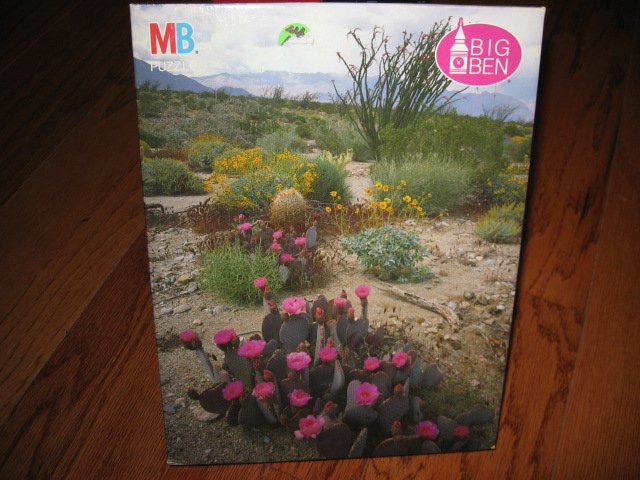Image 0 of Anza Borrego Desert CA Cactus flowers 1000 pieces jigsaw Puzzle NEW