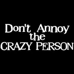 Thumbnail of Don't Annoy the Crazy Person