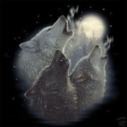 Thumbnail of Wolf Harmony Shirt