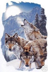 Thumbnail of 3 Wolves and Mountains Shirt