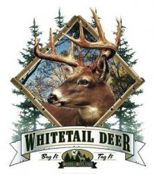 Thumbnail of White Tail Deer  Tshirt