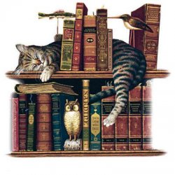 Thumbnail of Curl Up With A Good Book  Cat  Shirt