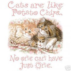 Thumbnail of Cats Are Like Potato Chips  Cat  tshirt