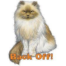 Thumbnail of Back Off   Cat  tshirt