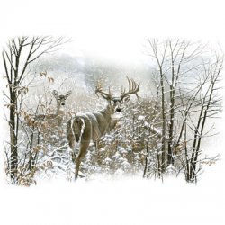 Thumbnail of Dream Buck  Deer  Tshirt / Sweatshirt