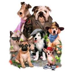 Thumbnail of Cool Dudes Dog  tshirt or Sweatshirt