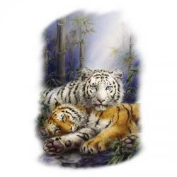 Thumbnail of Always Together White Tiger tshirt