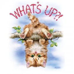 Thumbnail of Whats Up Cat  Cat Tshirt
