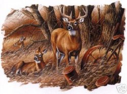 Thumbnail of Autumn Deer Tshirt or Sweatshirt