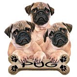 Thumbnail of 3 Pug Pups  tshirt or Sweatshirt