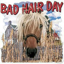 Thumbnail of Bad Hair Day  Horse  Sweatshirt/tshirt