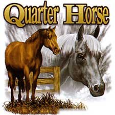 Thumbnail of Quarter Horse  Horse Sweatshirt/ tshirt