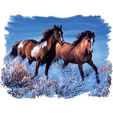 Thumbnail of Blue Horses  Horse Sweatshirt/ tshirt