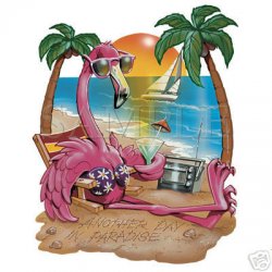 Thumbnail of Another Day In Paradise Flamingo T- Shirt