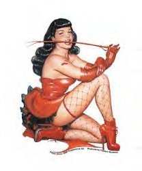 Thumbnail of Bettie Page - Fishnet - Vinyl Window Sticker