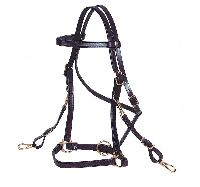 Circle Y 605 Halter Bridle Trail Riding Bridle