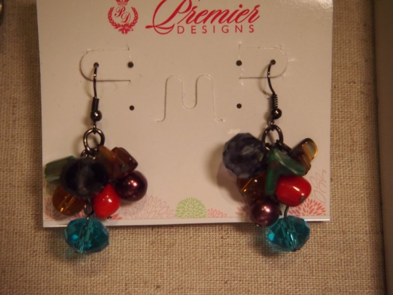 Premier Designs Unforgettable Crystal Beaded Hoop Earrings – Silver – New Without Tags