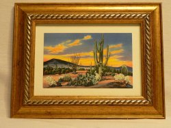 Thumbnail of Vintage C.T. Art Colortone Desert Cactus Framed Linen Postcard