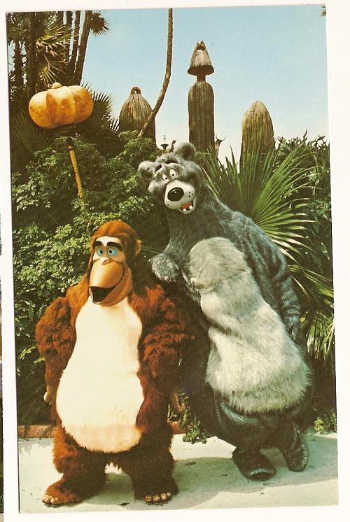 WALT DISNEY WORLD POSTCARD Adventureland 3x5 01110245 WDW Vintage 