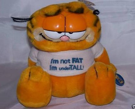 Image 0 of Garfield Stuffed Plush w Tags, I am not fat, I am under tall, 1981