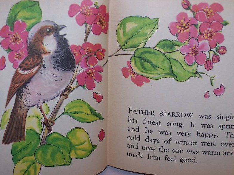 Image 3 of The Sparrows Nest, Rand McNally Elf Book First Edition