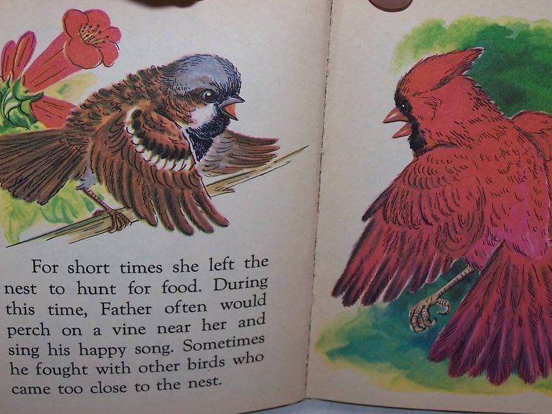 Image 4 of The Sparrows Nest, Rand McNally Elf Book First Edition