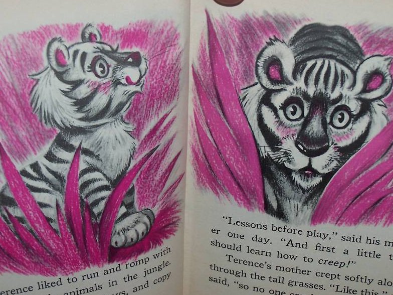 Image 3 of Little Tiger, Rand McNally Junior Elf Book 1st Edition
