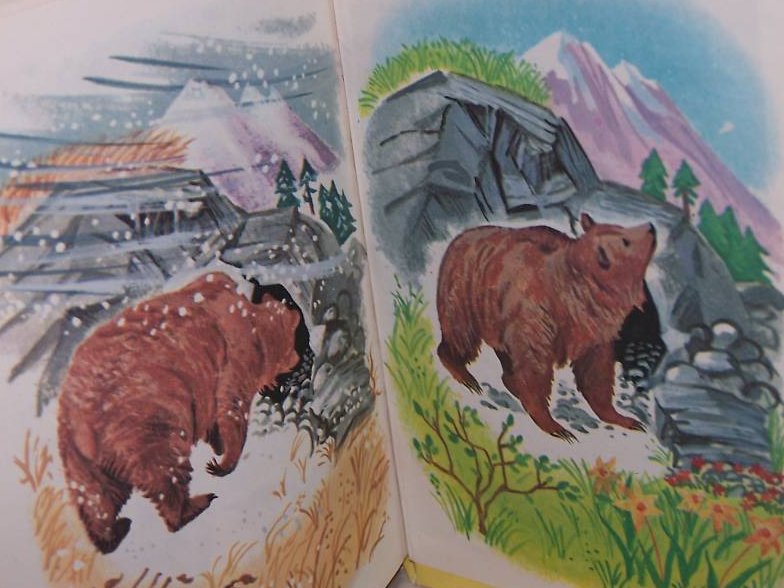 Image 3 of Animal Mysteries, Rand McNally Elf Book First Edition