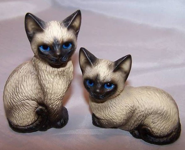 Image 0 of Havery Knox Two Siamese Kittens Kitties Cats