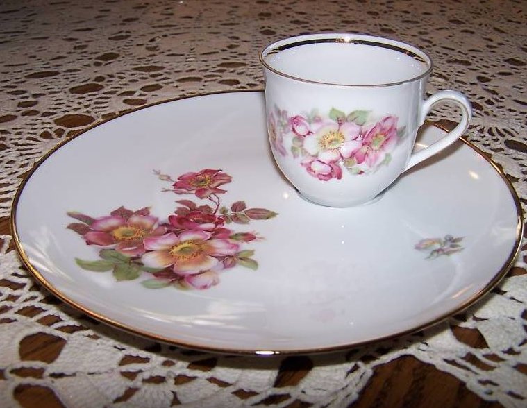 Schumann Arzberg, Bavaria, Wild Rose Plate and Cup Set 