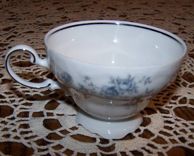  Johann Haviland Bavaria Germany Teacup Cup Only