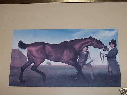 Image 0 of George Stubbs Horse Painting Print, Framed