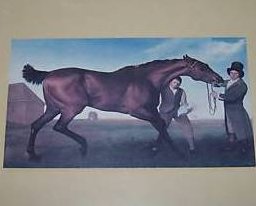 Image 2 of George Stubbs Horse Painting Print, Framed