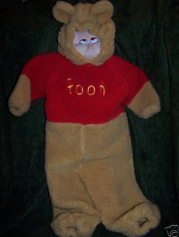 Winnie the Pooh Costume, Sz 2T, 4T Disney Store