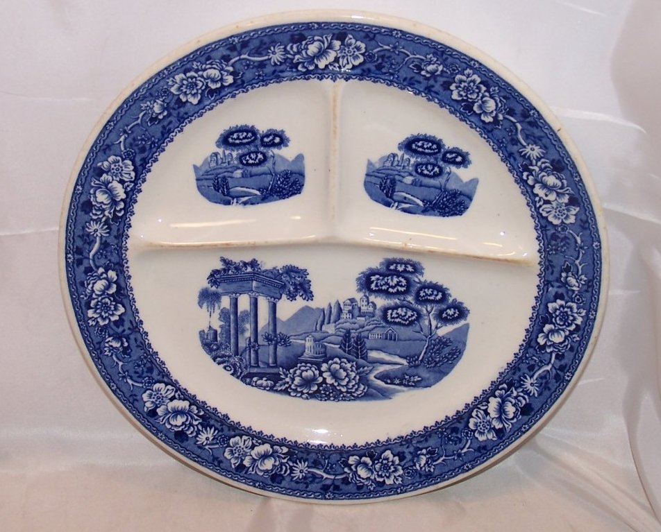 Warwick Tudor Rose Divided Grill Plate Blue Blurred Design