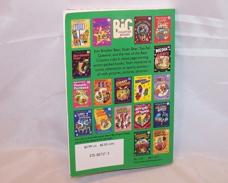 Image 5 of Berenstain Bears Haunted Hayride and Big Fun Park  Books