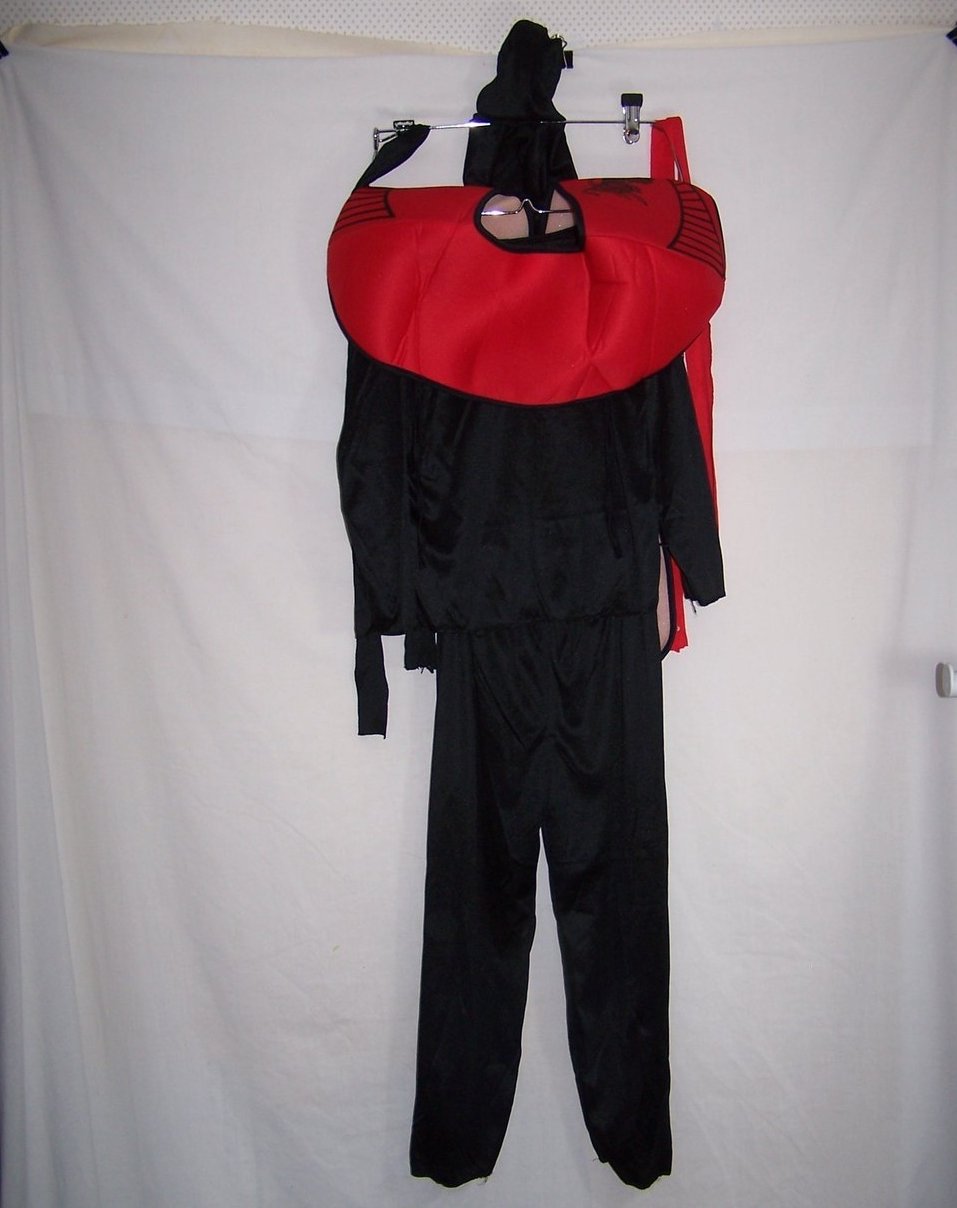 Image 1 of Ninja Costume in Orig Package, Sz 7 to 10