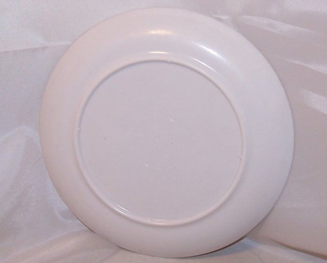 Image 1 of Bear and Company Picnic, Child Size Plastic Dinner Plate