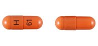 Image 0 of Stavudine 40 Mg Caps 60 By Camber Pharma. 