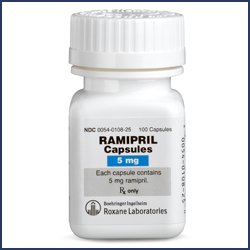 Ramipril 5 Mg Caps 500 By Roxane Labs.