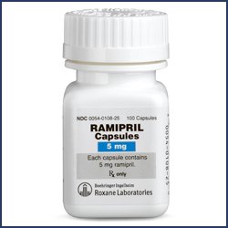 Image 0 of Ramipril 5 Mg Caps 100 By Roxane Labs.