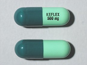 Keflex 500 Mg Caps 100 By Shionogi Pharma 