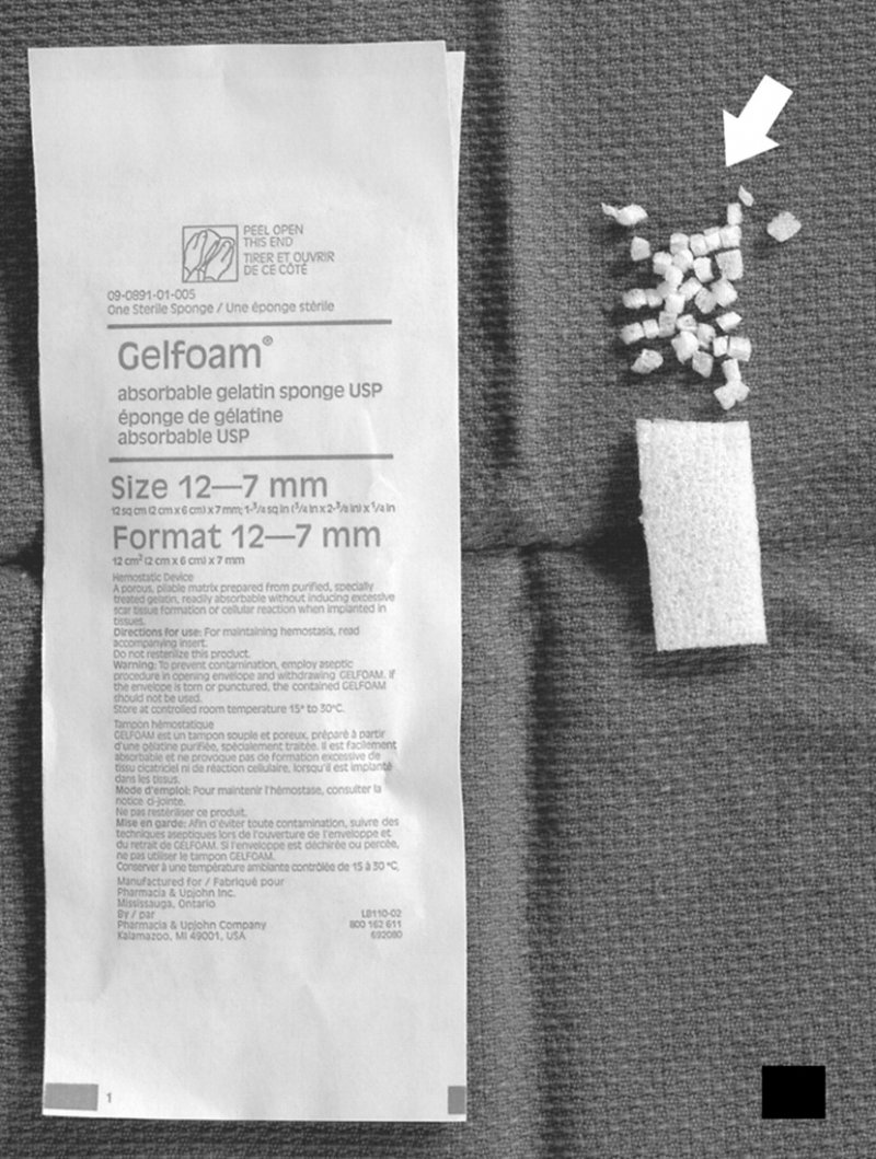 Gelfoam Sponge 12 By Pfizer Pharma